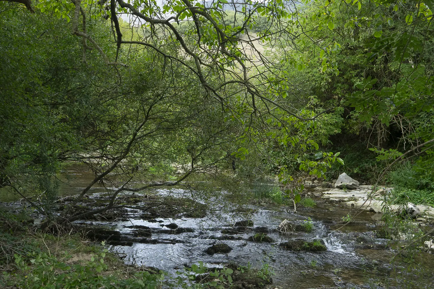 BIPoC Climate Justice Conference 2025 - Others images - RRSS_BipocConference_2025-34